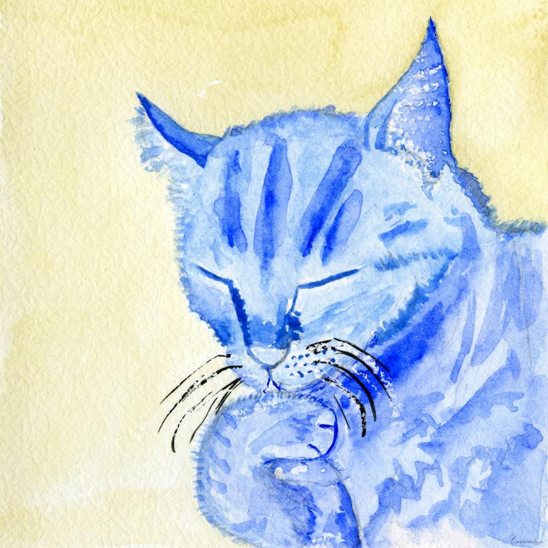 Blue Cat Licking His Paw Watercolor Painting