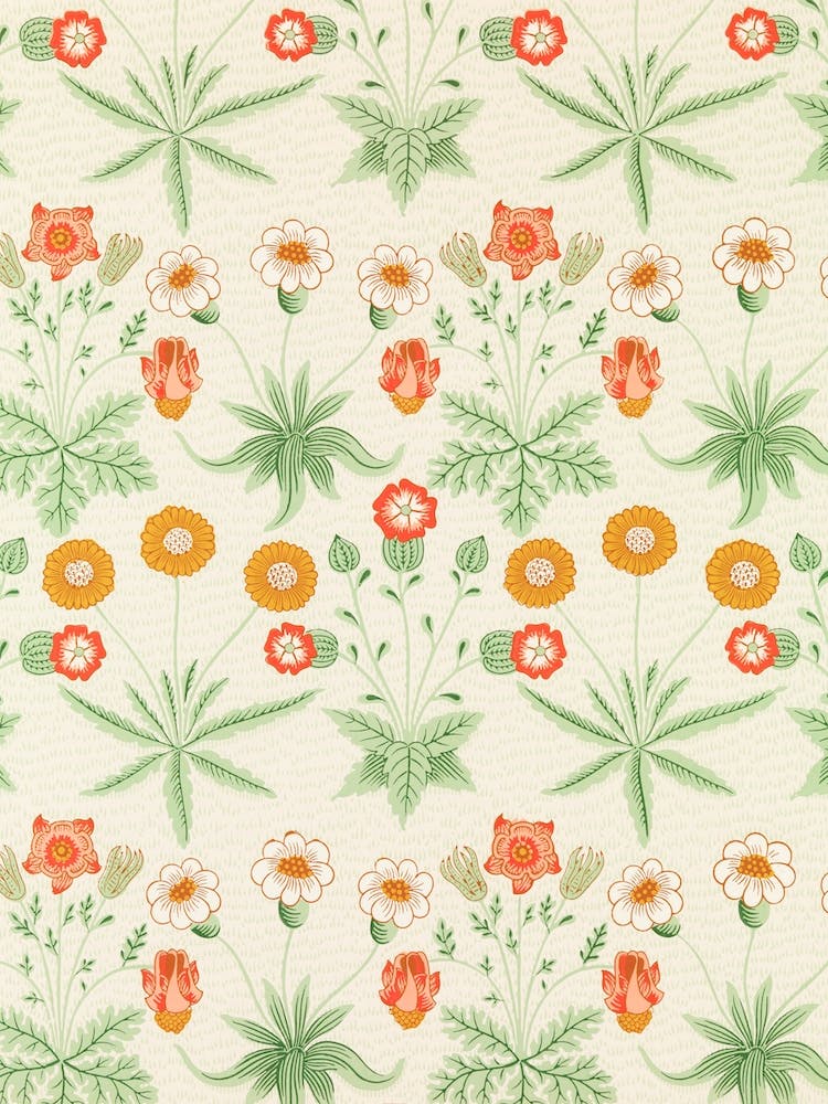 Daisy In White, William Morris