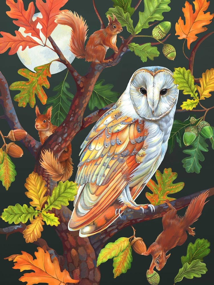 Night Owl