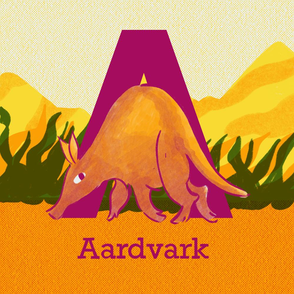 Aardvark