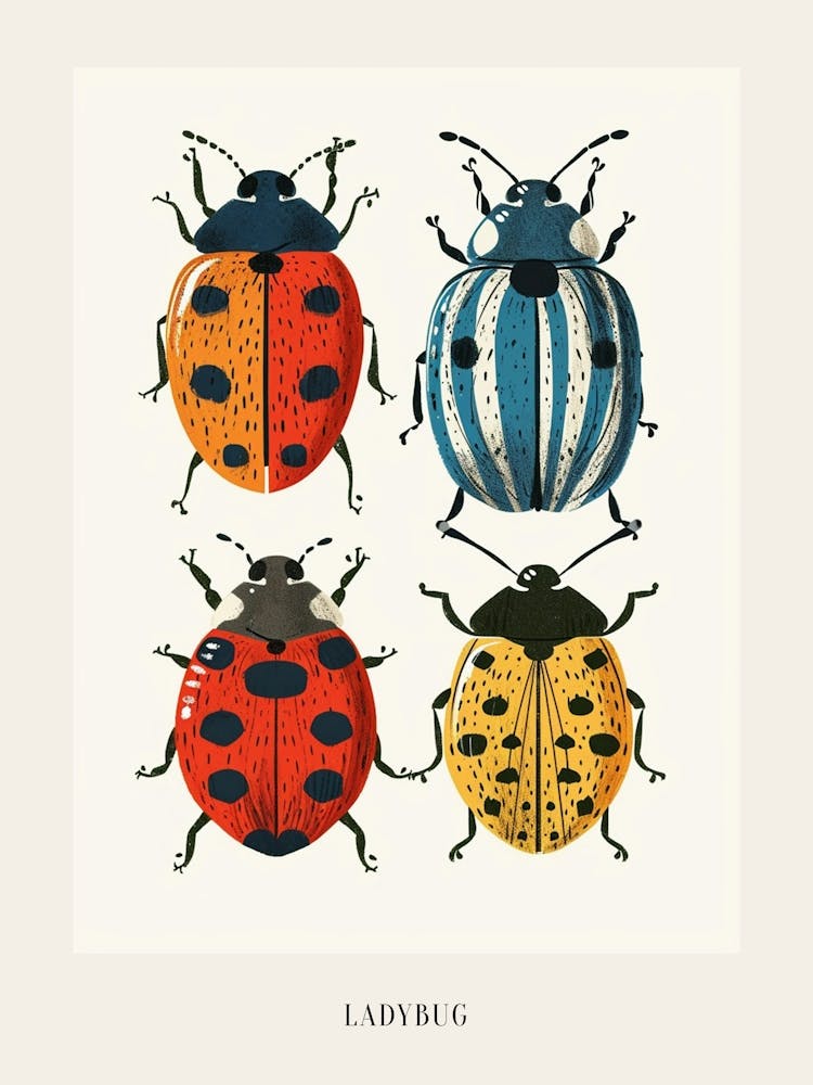 Colourful Insect Illustration Ladybug 3 Poster