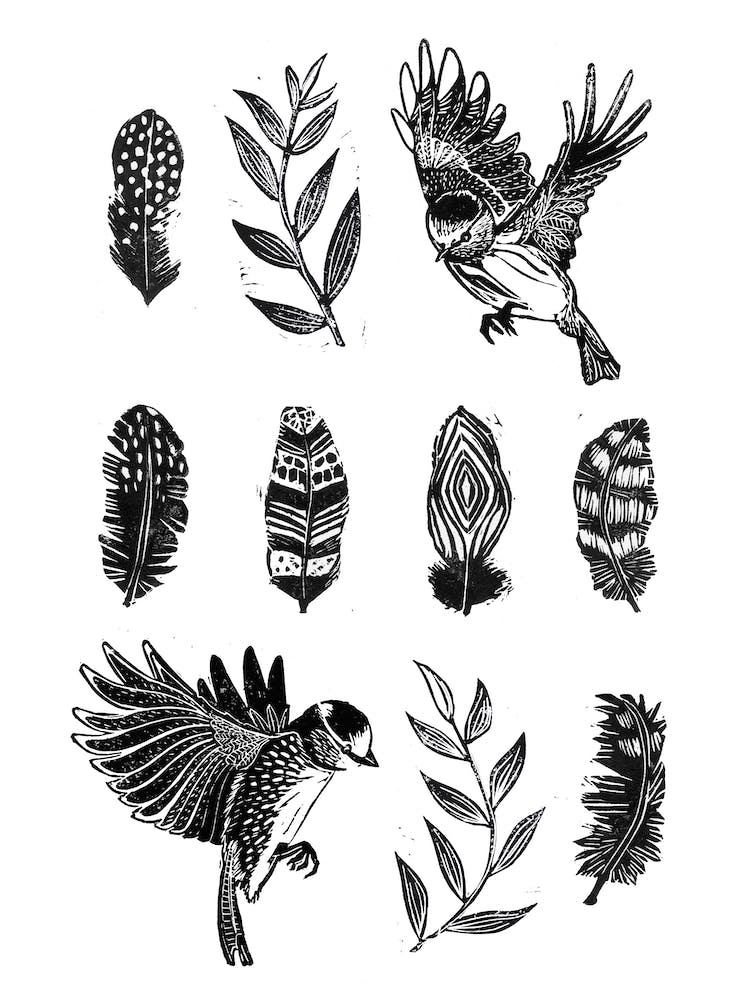Feathers & Birds