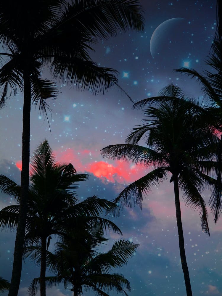 Stellar Sanctuaries