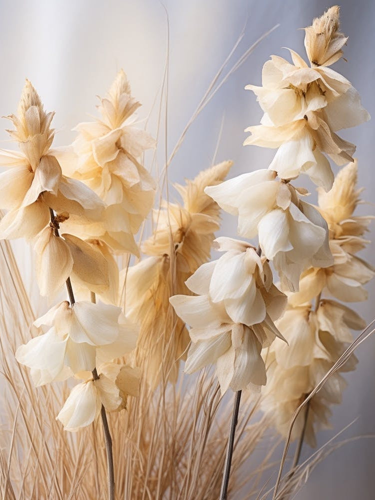 Boho Dried Flowers Aconitum 2