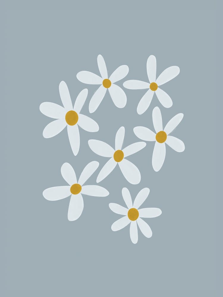 Daisies