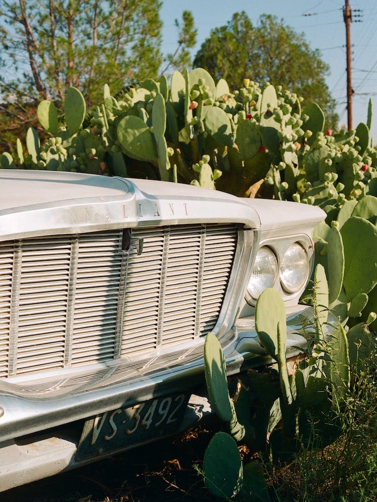 Marfa Ride VIII on Film