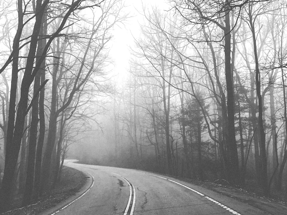 B+W Foggy Road