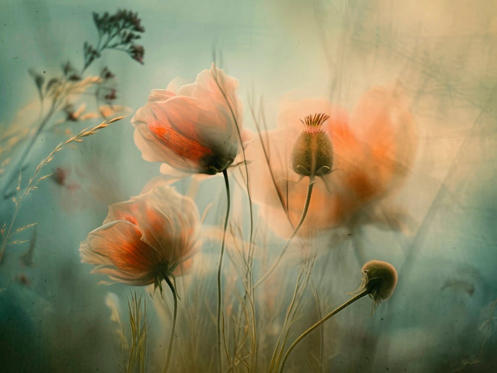 Floral Fusion No 2