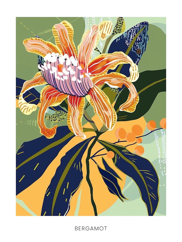 Colourful Flower Illustration Poster Bergamot 1