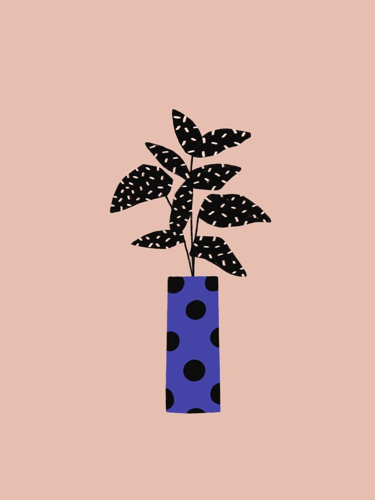 Modern Plant On Pink