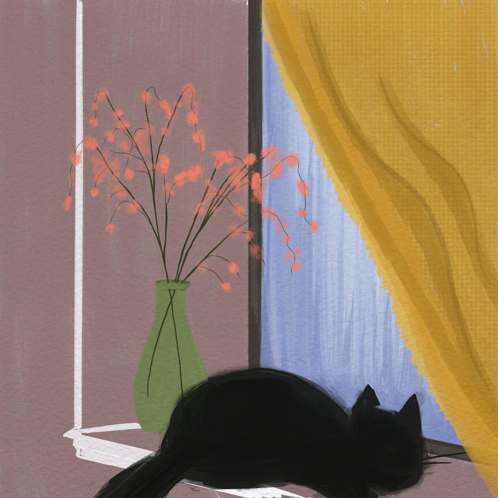 Cat On A Window Sill