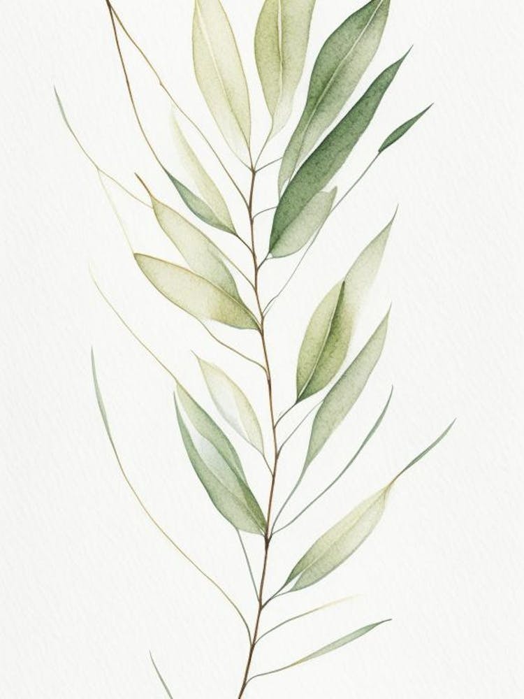 Weißes Weidenblatt Minimalistische Aquarellmalerei 1