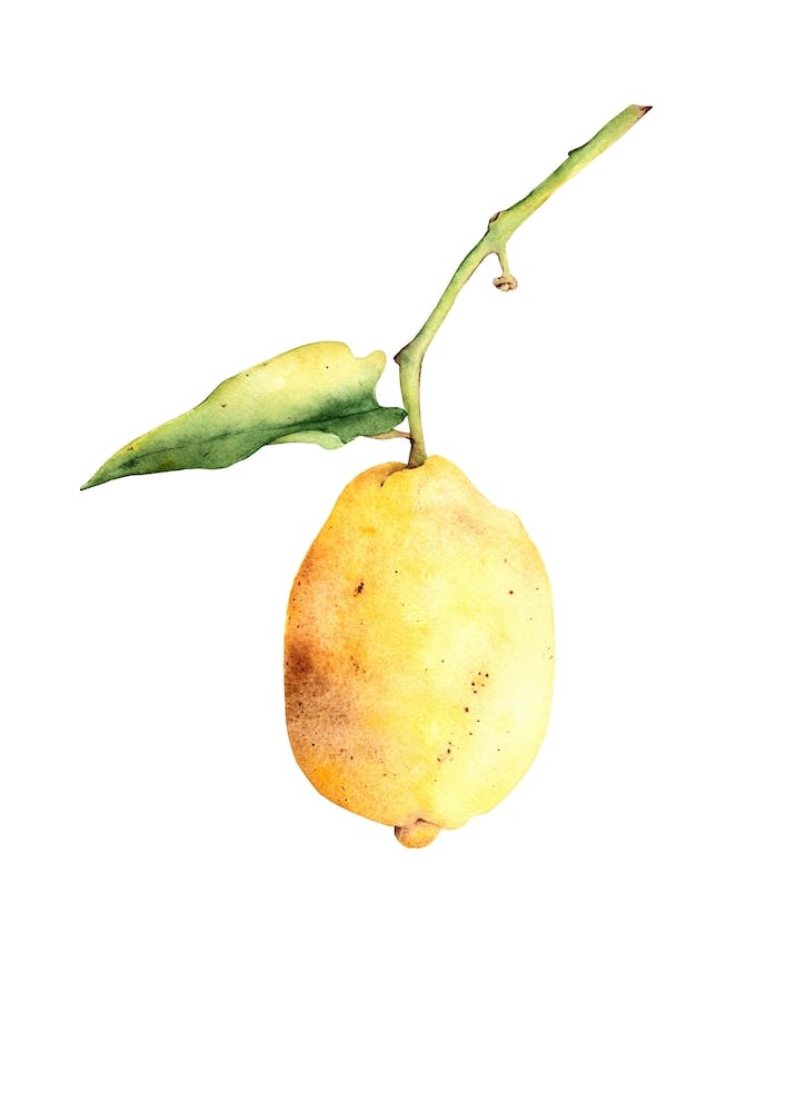 Lemon