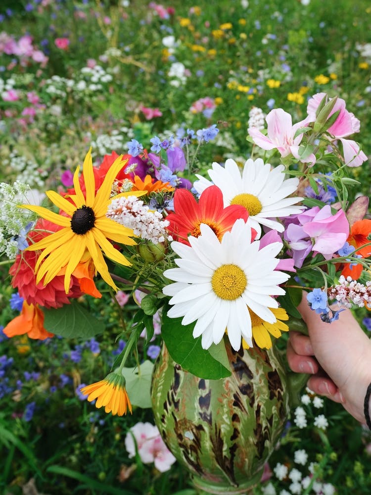 Lucky Jug Filled With Seasonal Blooms