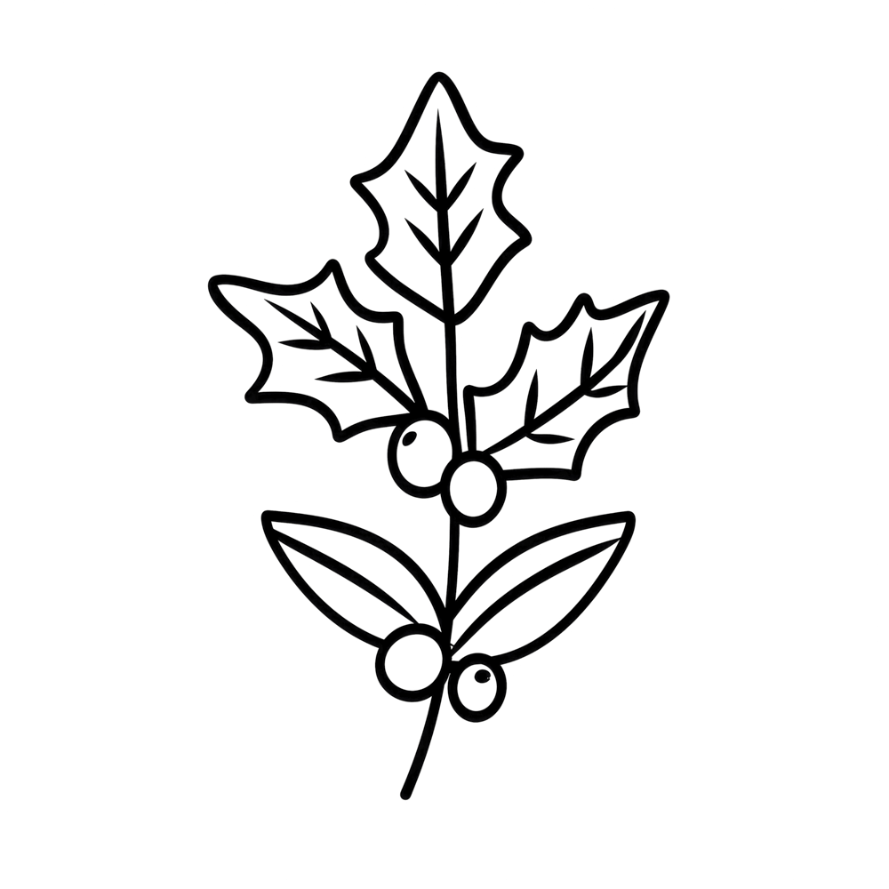 Holly December Birth Month Flower