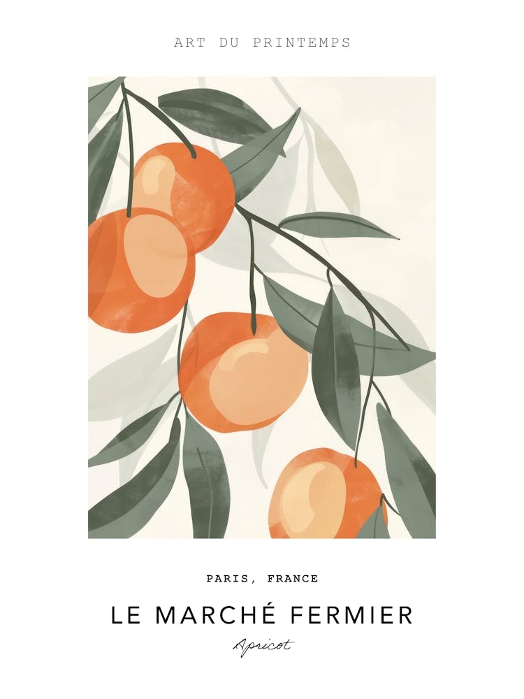 Apricot Le Marche Fermier Poster 2