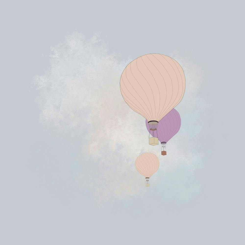 Hot Air Balloons