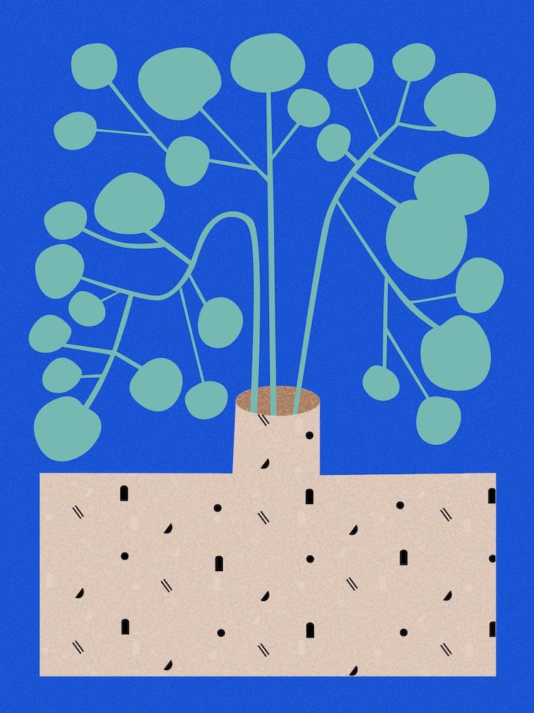 Pilea Vase