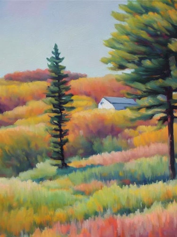 Pitch Pine Tree Watercolour