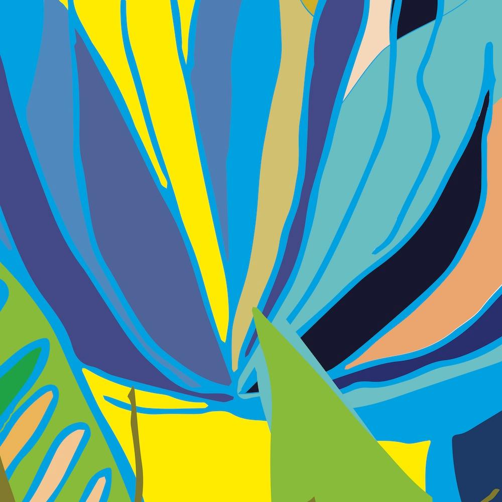 Succulent Garden In Turquoise Square