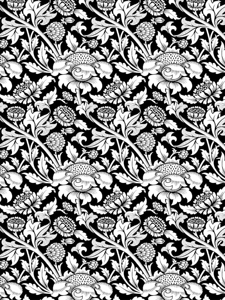 Black And White Floral Pattern