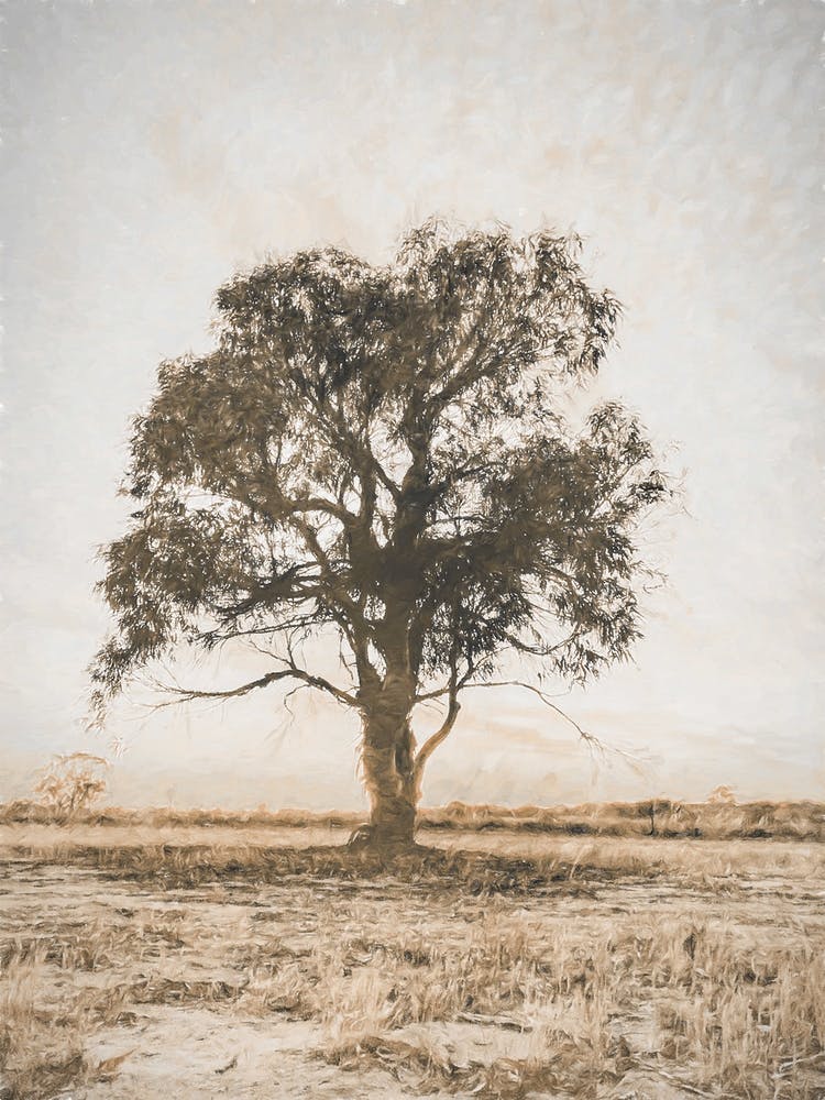 Sentinel Of The Field