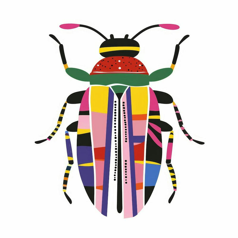 Beetle 71