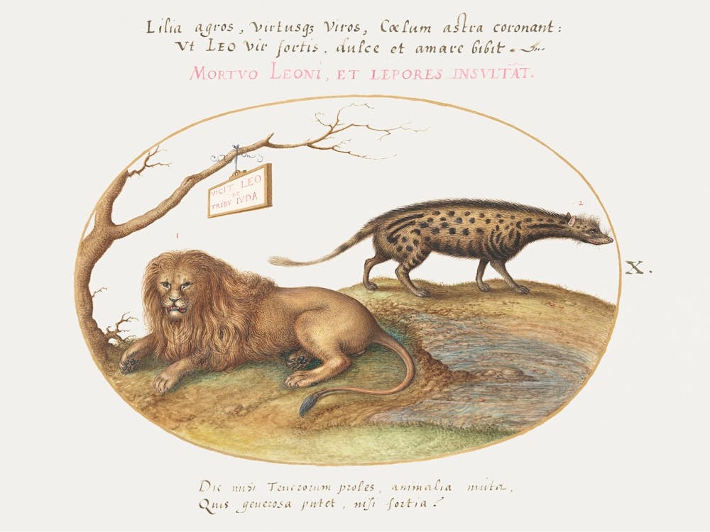 Un Lion et une Civette (1575–1580), Joris Hoefnagel