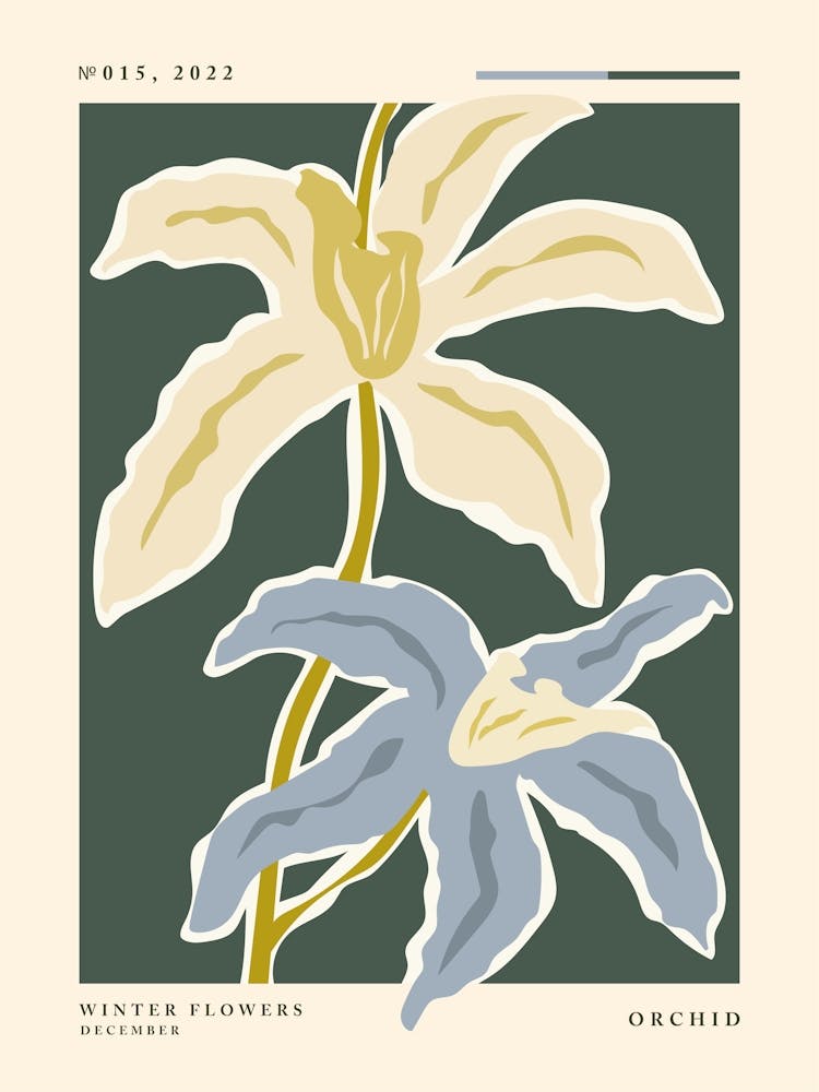 Winter flowers Orchid, Flower market, Neutral retro poster, Abstract flowers