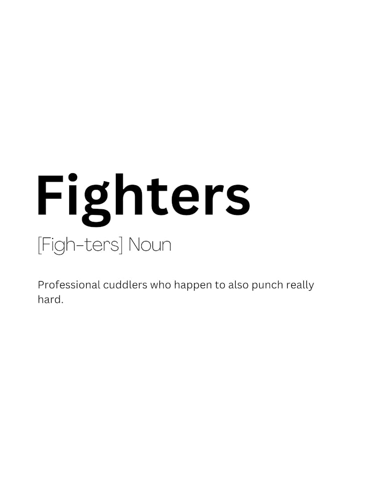 Fighters Definition Meaning