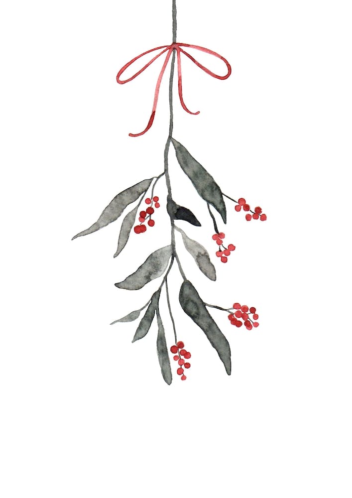 Mistletoe