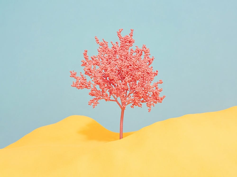 Pink Tree In The Desert