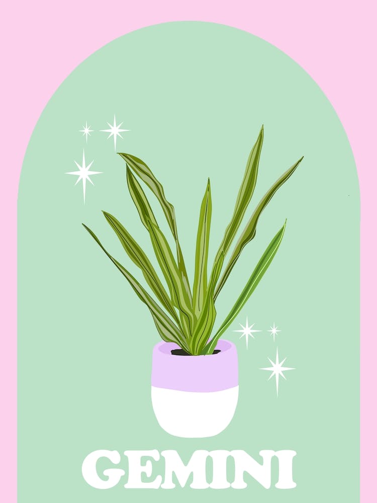 Botanical Star Sign Gemini