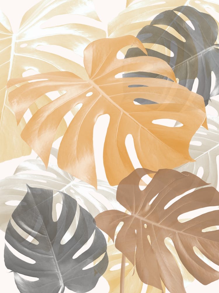 Floral collage 11