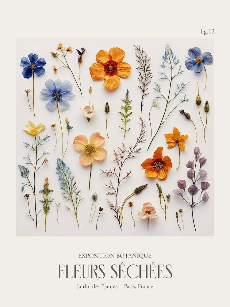 Fleurs Sechees, Dried Flowers Exhibition Poster 12