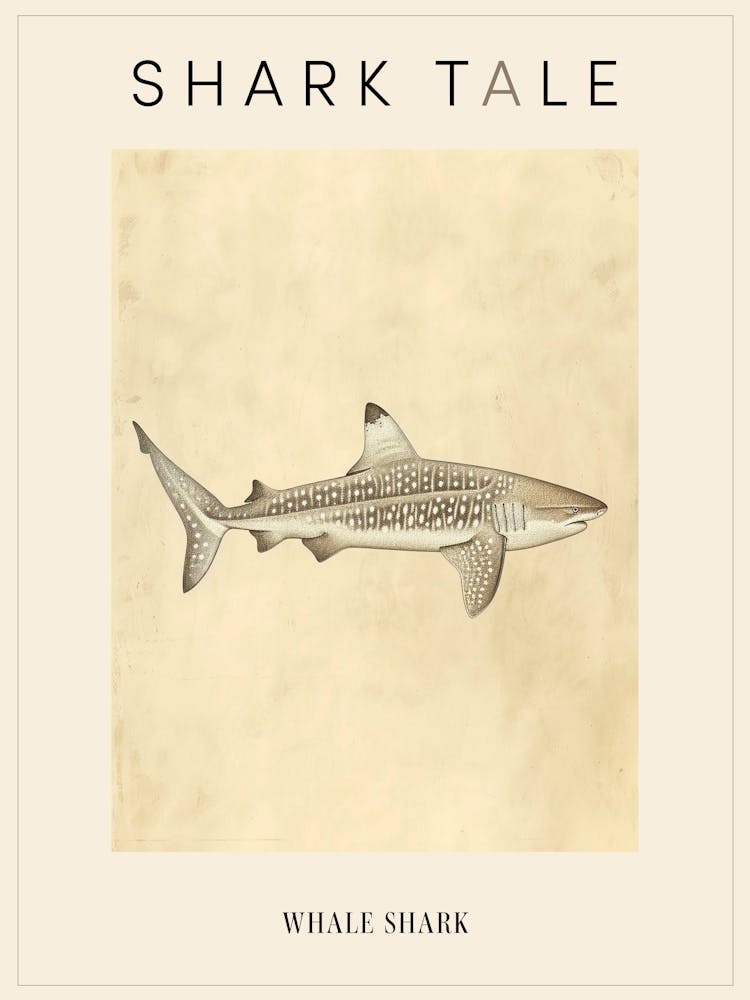 Whale Shark Vintage Illustration 5 Poster