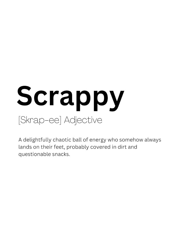 Scrappy Definition Meaning