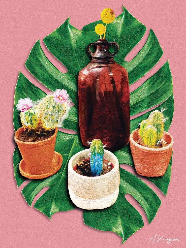 Cactus
