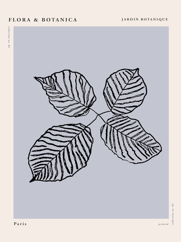 Flora botanica line no 06
