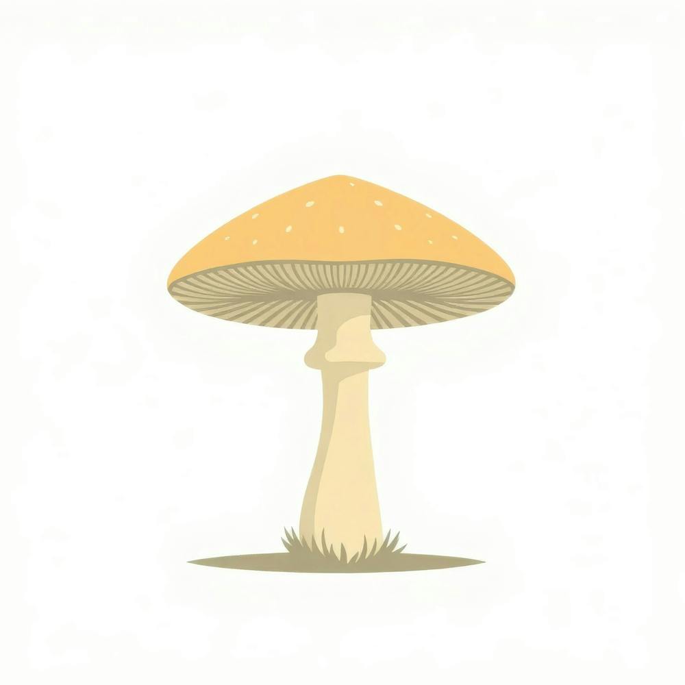 Mushroom 4