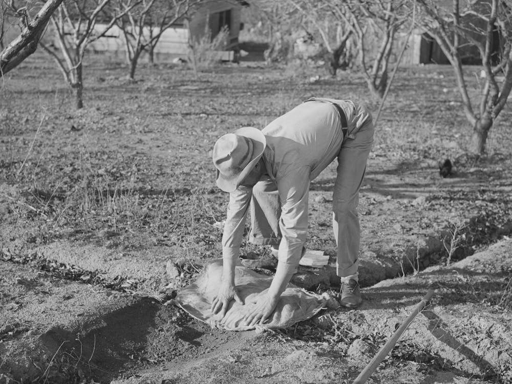 Farmer beim Anlegen von Bewässerungsgräben mit Säcken, Placer County, California, Siehe Bildunterschrift für 38438d von Russell Lee