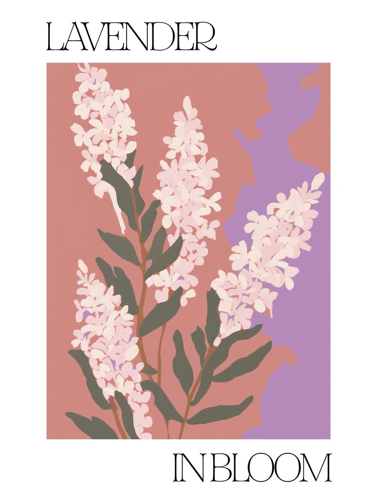 Lavender In Bloom Flowers Bold Illustration 1