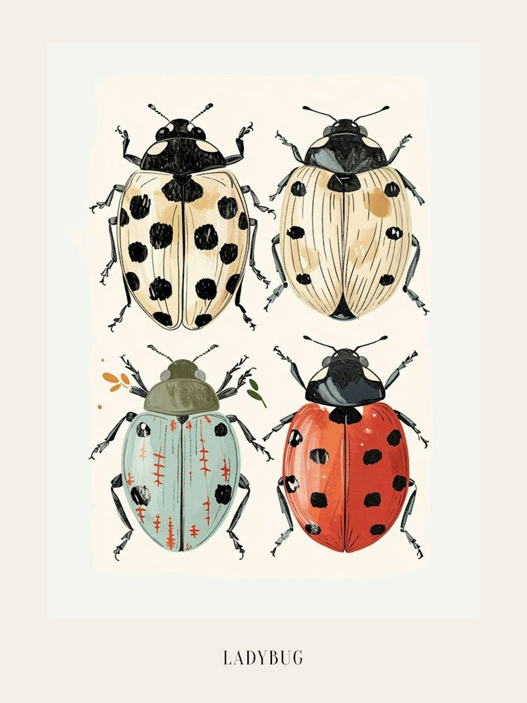 Illustration d'Insecte Colorée Coccinelle 11 Affiche