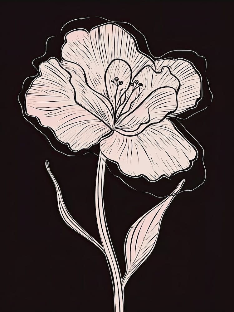 Gladioli Line Art Flowers Illustration Neutral 20