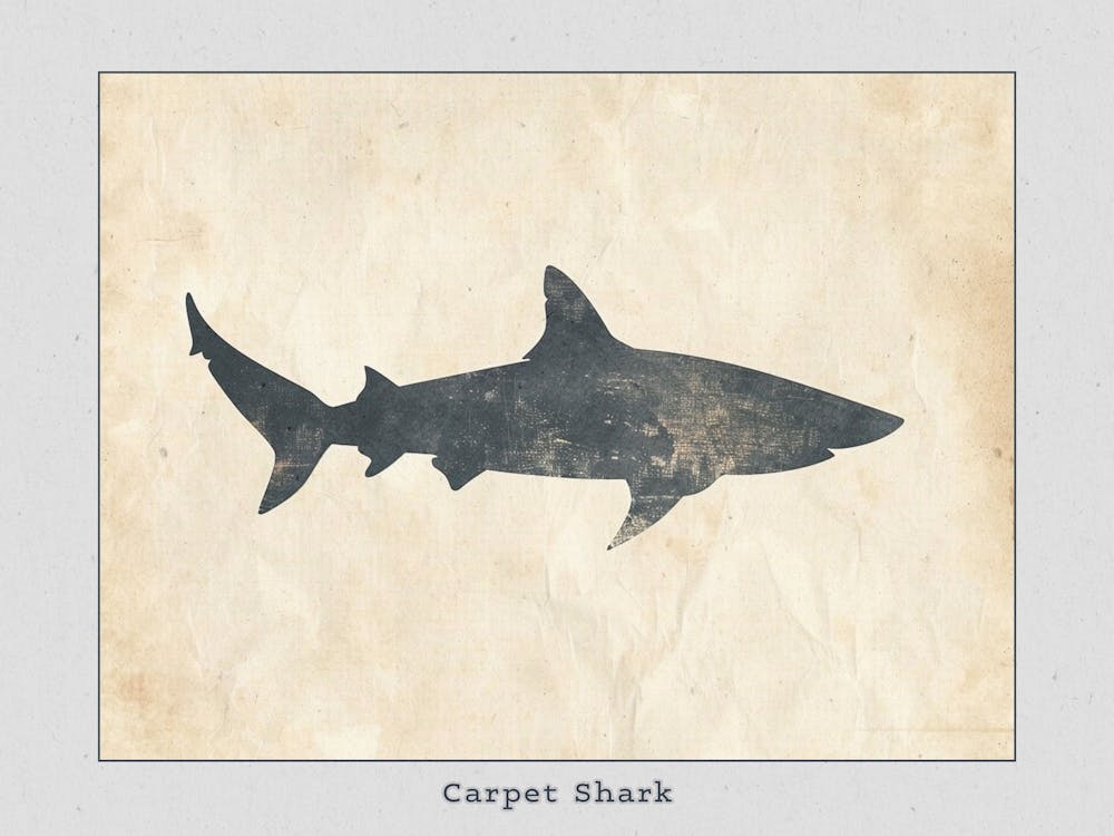 Carpet Shark Silhouette 1 Poster