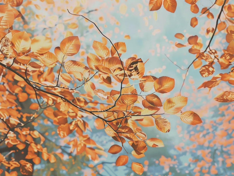 Autumn Leaves 101