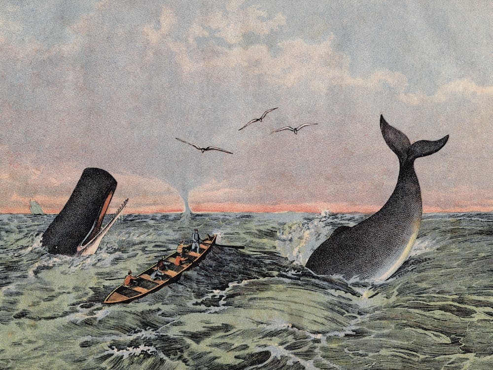 Vintage Kolb 4 Tafel 60 Pottfisch