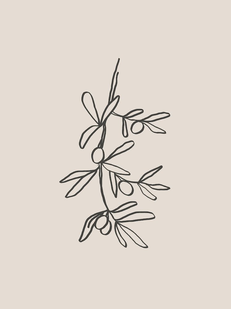 Olive Branch Beige Line Art