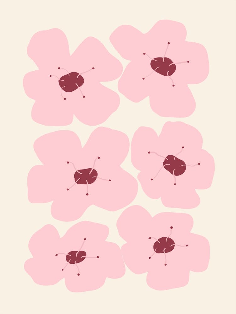 Cherry Blossoms