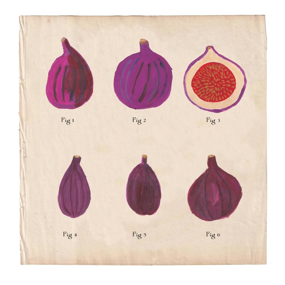 Fig Chart Square
